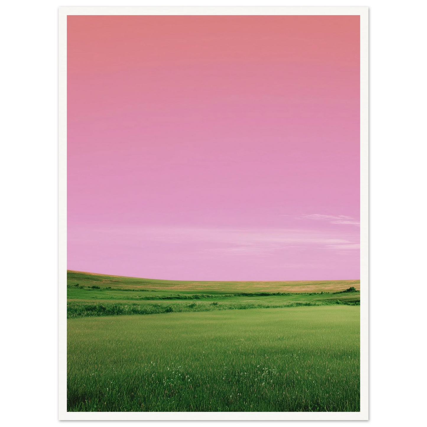 e7b76d6d-f458-4922-9e3a-f8199fd3b08d