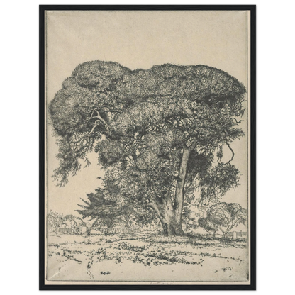Cemetery Live Oak (1916) Art Print | Ernest Haskell-Quipham Collections