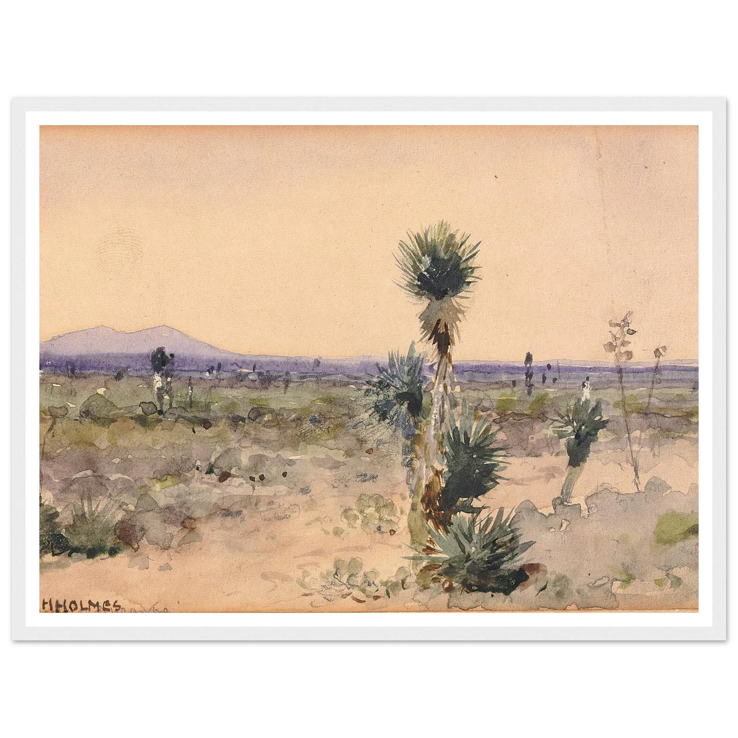 Yuccaland–Chihuahua, Mexico Art Print | William Henry Holmes-Quipham Collections