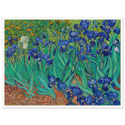 Irises (1889) Art Print | Vincent van Gogh-Quipham Collections