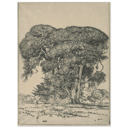 Cemetery Live Oak (1916) Art Print | Ernest Haskell-Quipham Collections