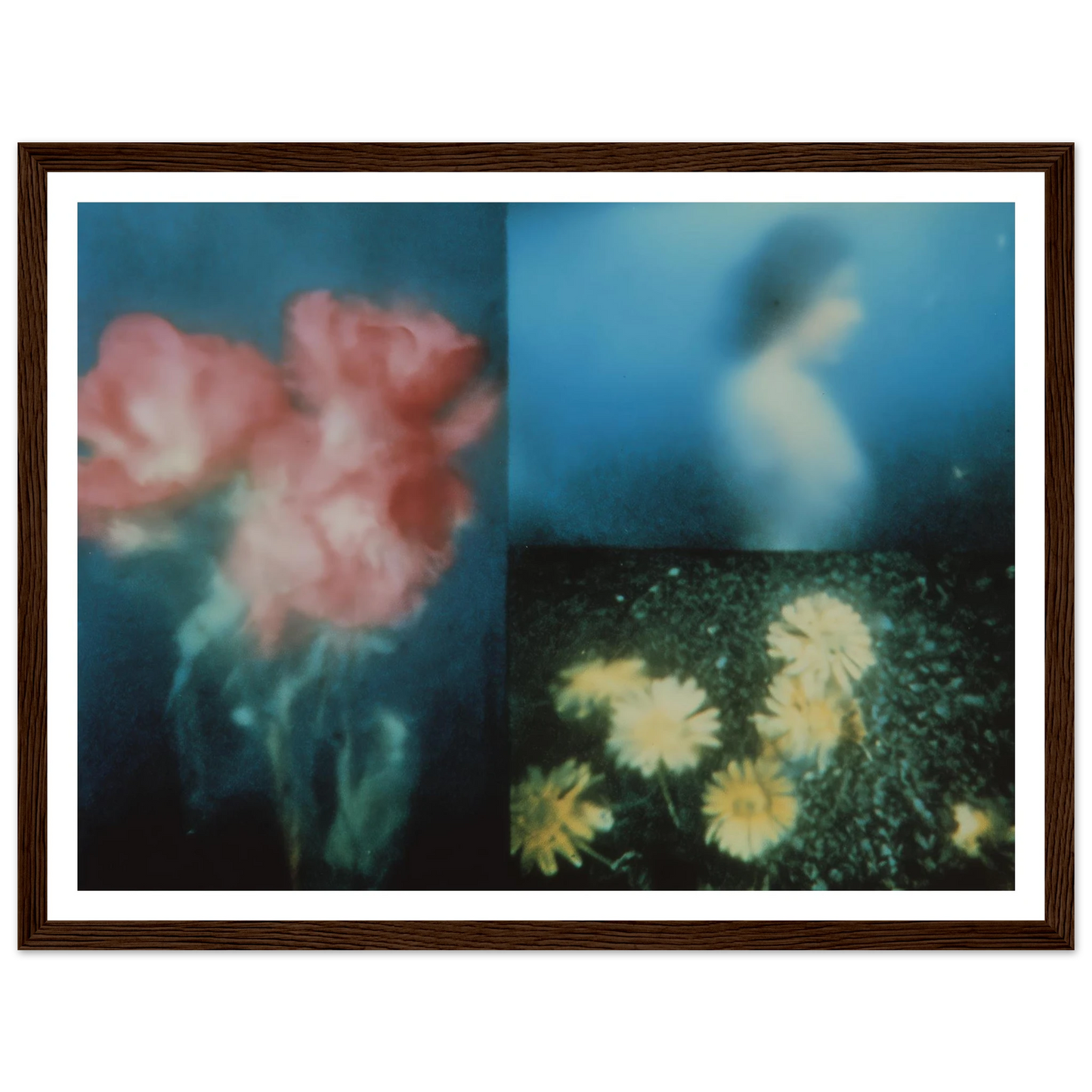 ebfd79eb-28c1-45cb-9906-9f91c0c42c68