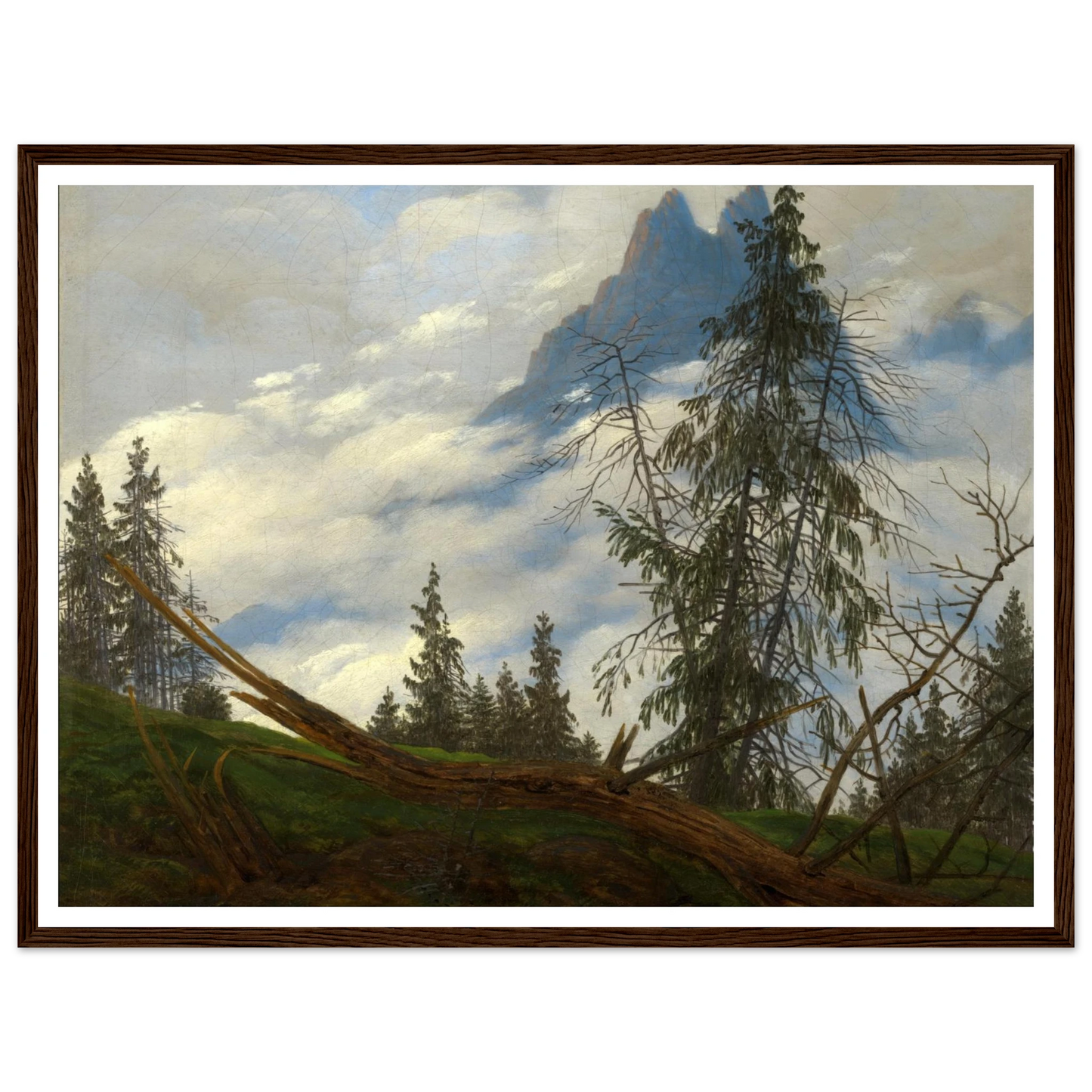 ecfd0ac9-28c0-4ff0-84dd-5056e7572115