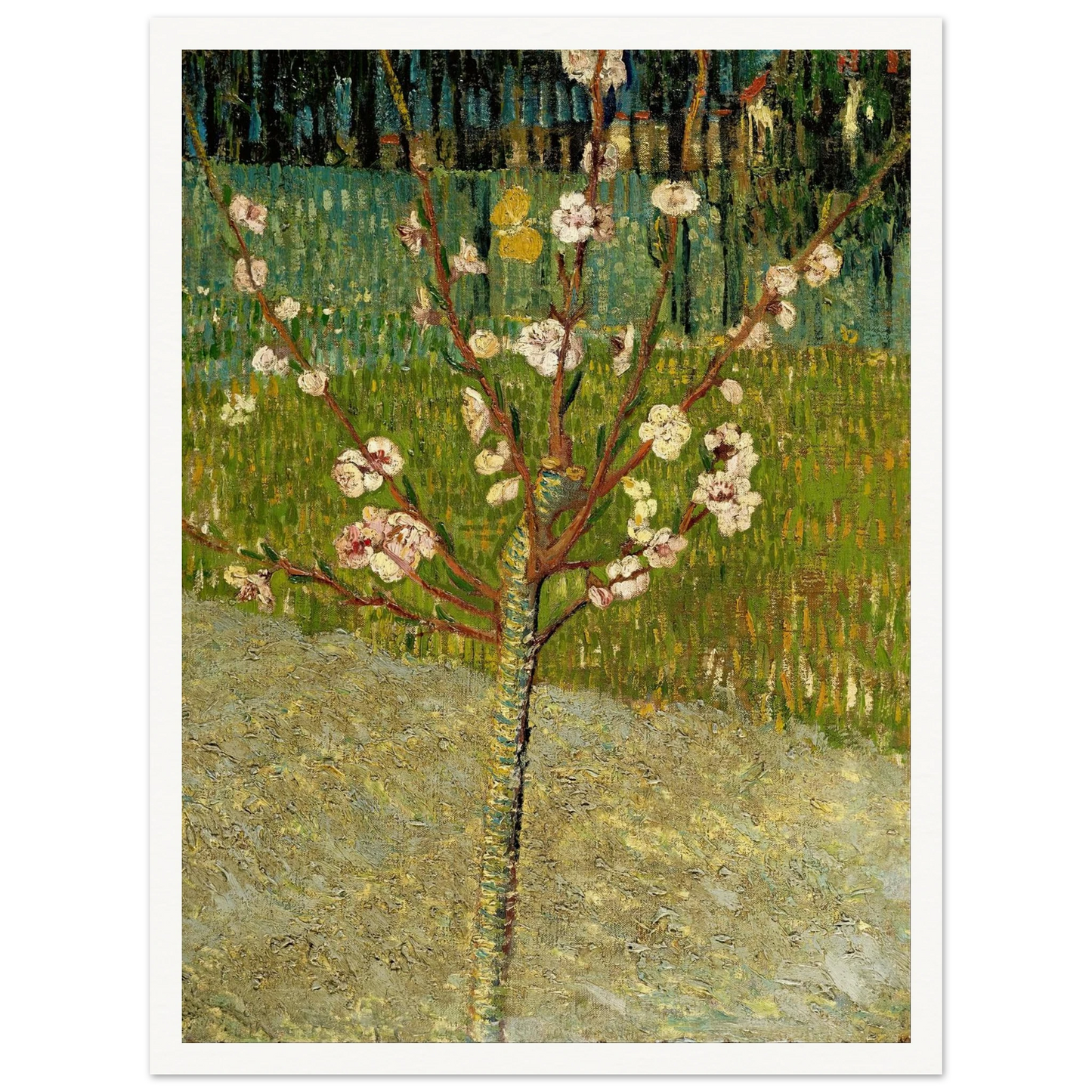 Almond tree in blossom Art Print | Vincent van Gogh-Quipham Collections