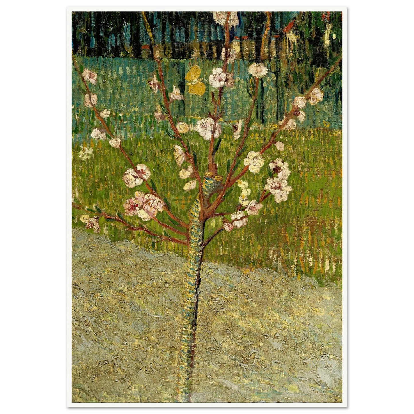 Almond tree in blossom Art Print | Vincent van Gogh-Quipham Collections