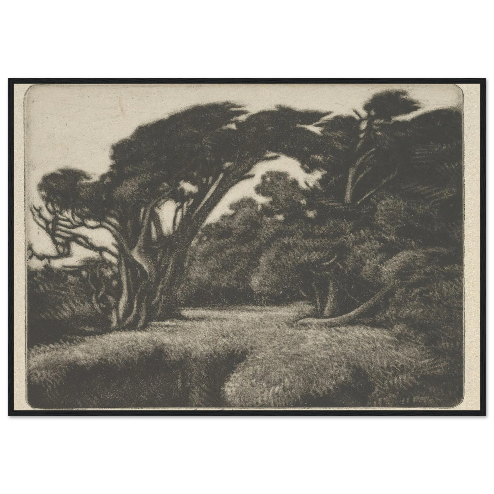 Cypress Bower (1920) Art Print | Ernest Haskell-Quipham Collections