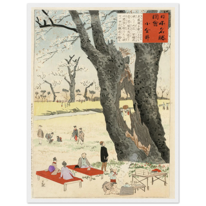 Koganei, Cherry Blossoms (1896) Art Print | Kobayashi Kiyochika-Quipham Collections