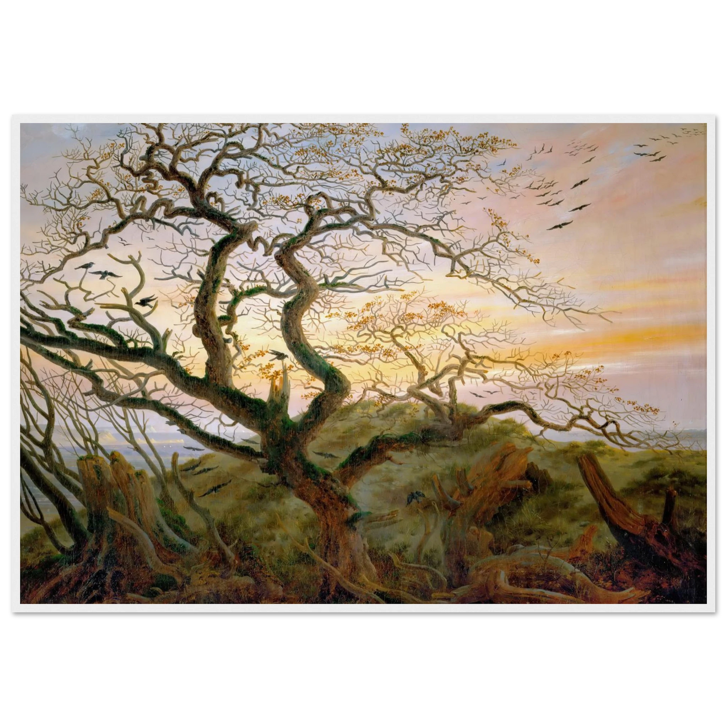 f0c65fb1-235d-440f-b368-eff23b9b66eb