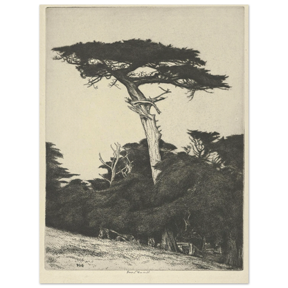 Dryad’s Parasol (1916-1922) Art Print | Ernest Haskell-Quipham Collections