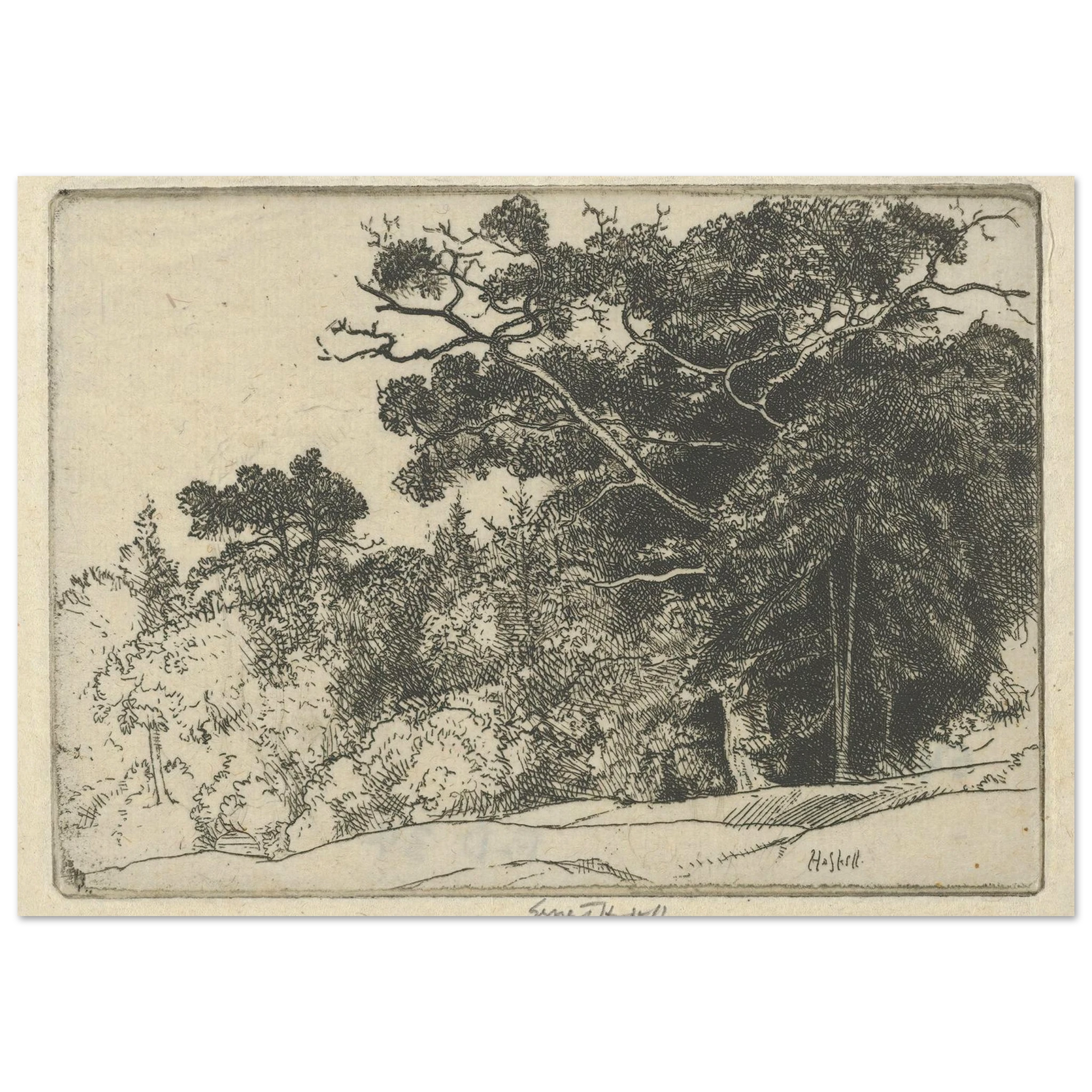 Brown’s Oak (probably 1910) Art Print | Ernest Haskell-Quipham Collections