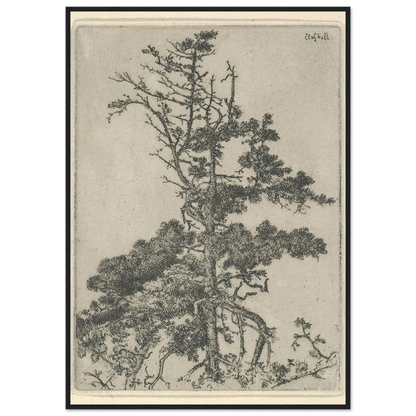 Tree Top (1900-1925) Art Print | Ernest Haskell-Quipham Collections
