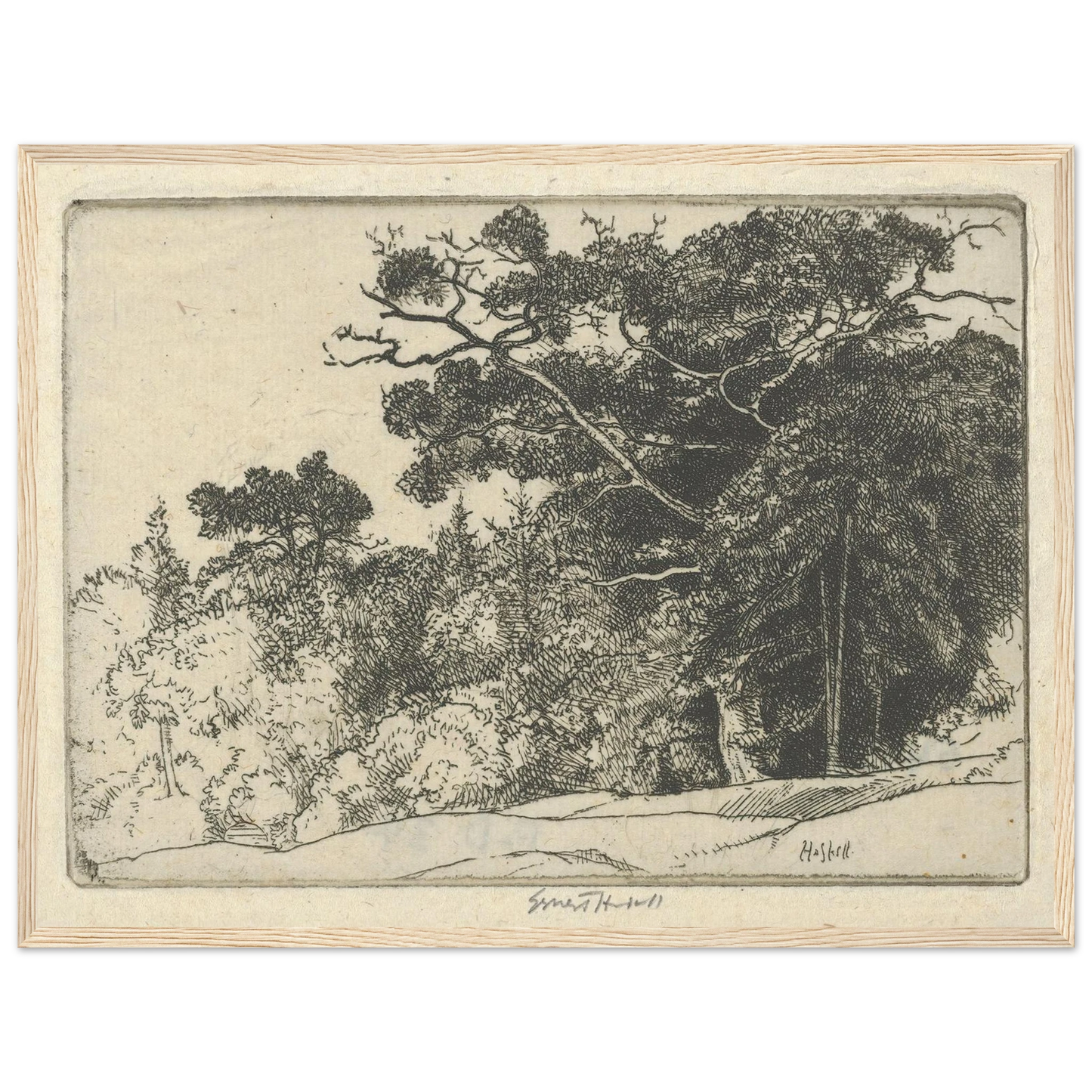 Brown’s Oak (probably 1910) Art Print | Ernest Haskell-Quipham Collections