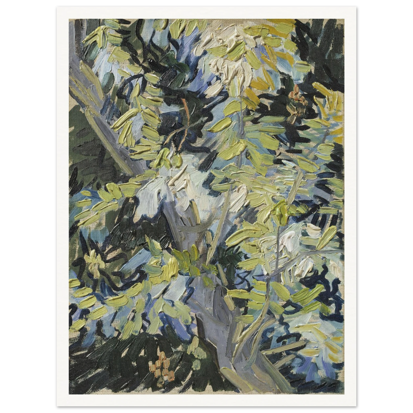 Acacia in Flowers Art Print | Vincent van Gogh-Quipham Collections