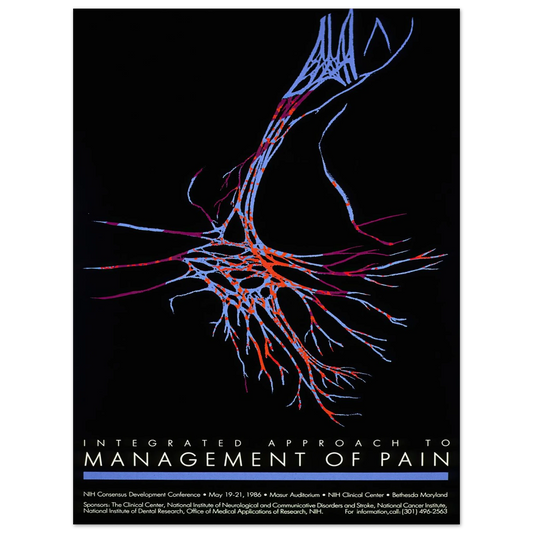 Integrated approach to management of pain (1986) Art Print | National Institutes of Health-Quipham Collections