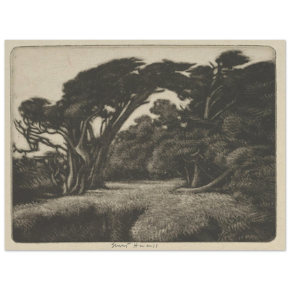 Cypress Bower (1920) Art Print | Ernest Haskell-Quipham Collections