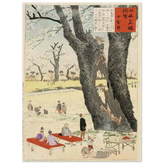 Koganei, Cherry Blossoms (1896) Art Print | Kobayashi Kiyochika-Quipham Collections