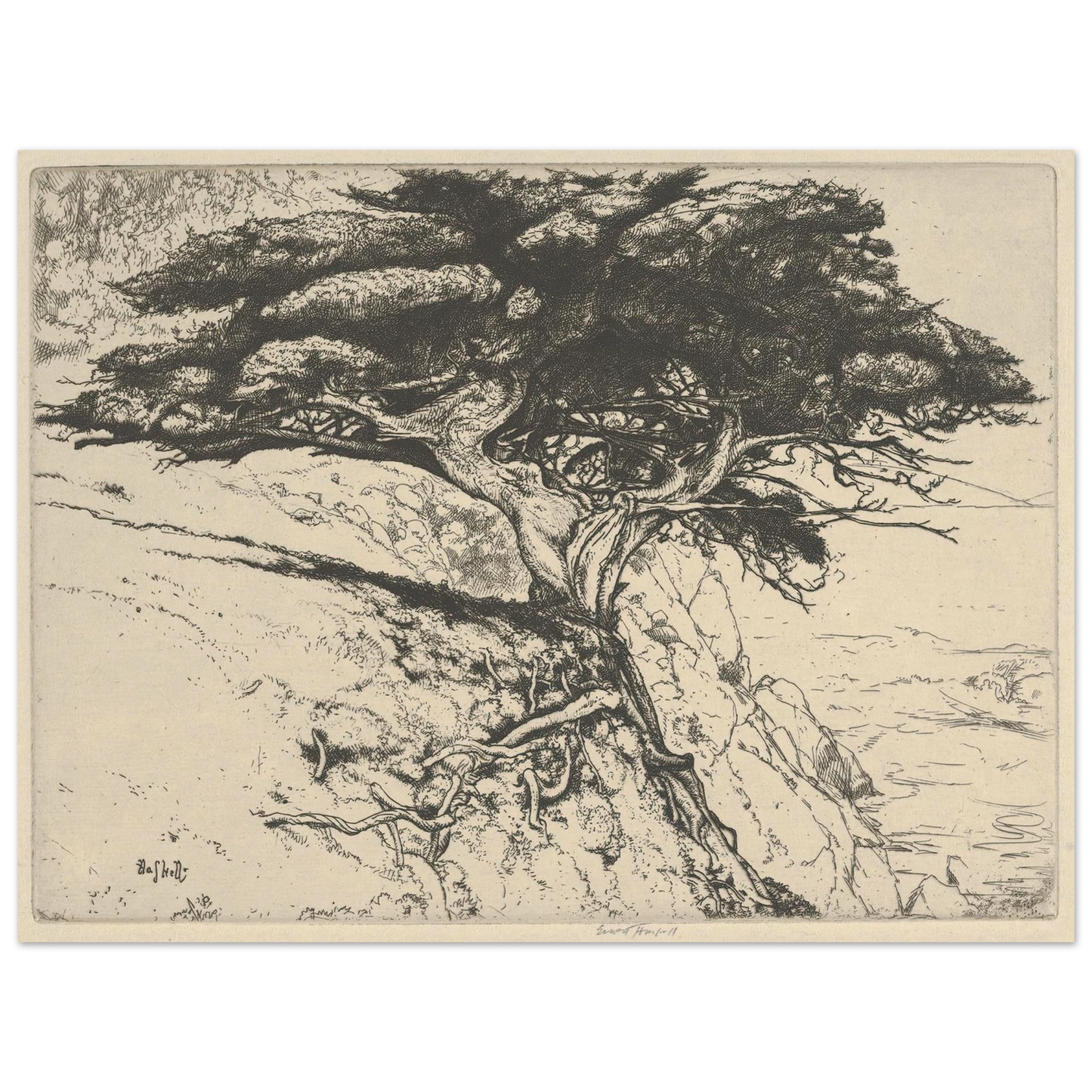 Fan Tree (1920) Art Print | Ernest Haskell - Framed Poster - 30x40 cm / 12x16″ - Black frame