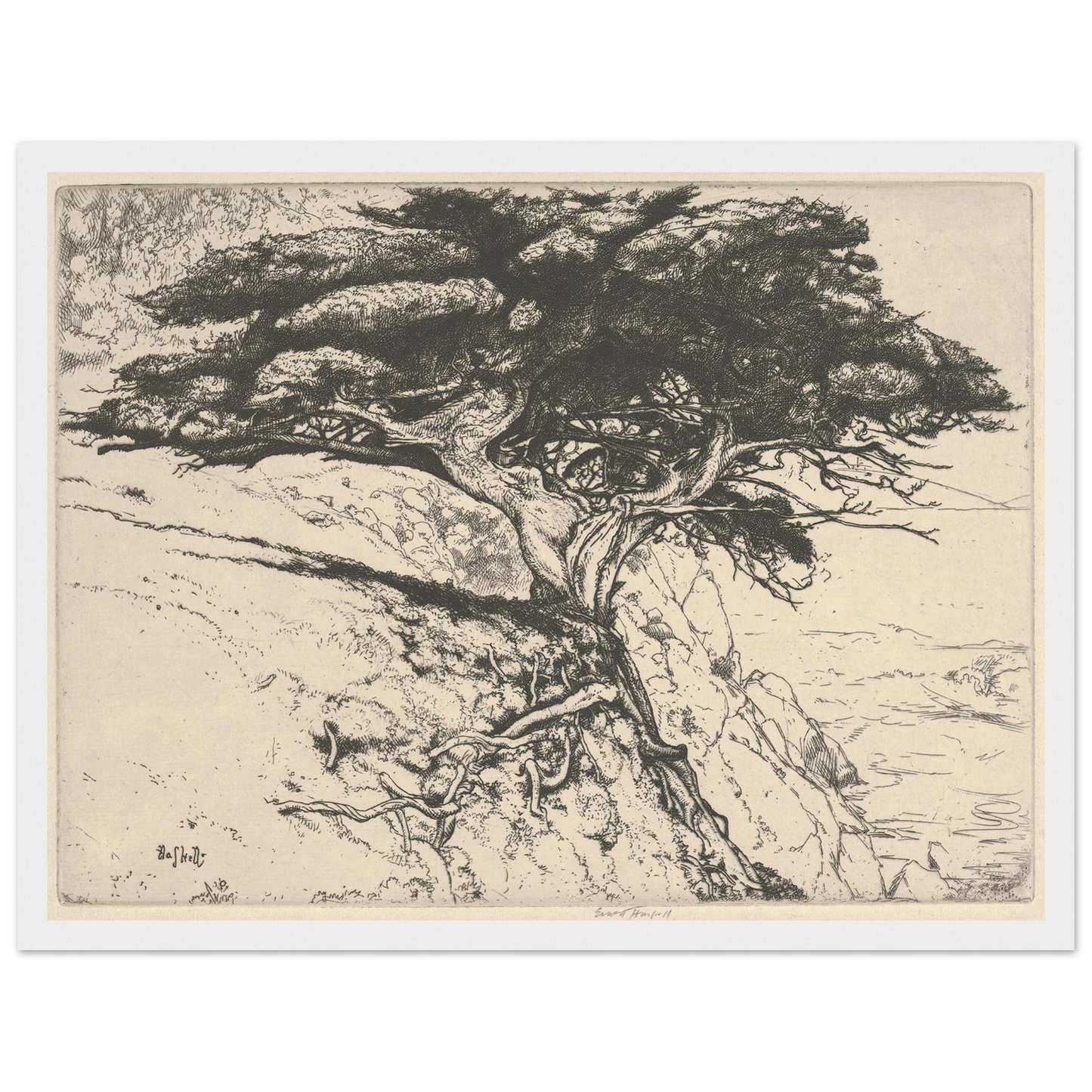 Fan Tree (1920) Art Print | Ernest Haskell - Framed Poster - 30x40 cm / 12x16″ - Black frame