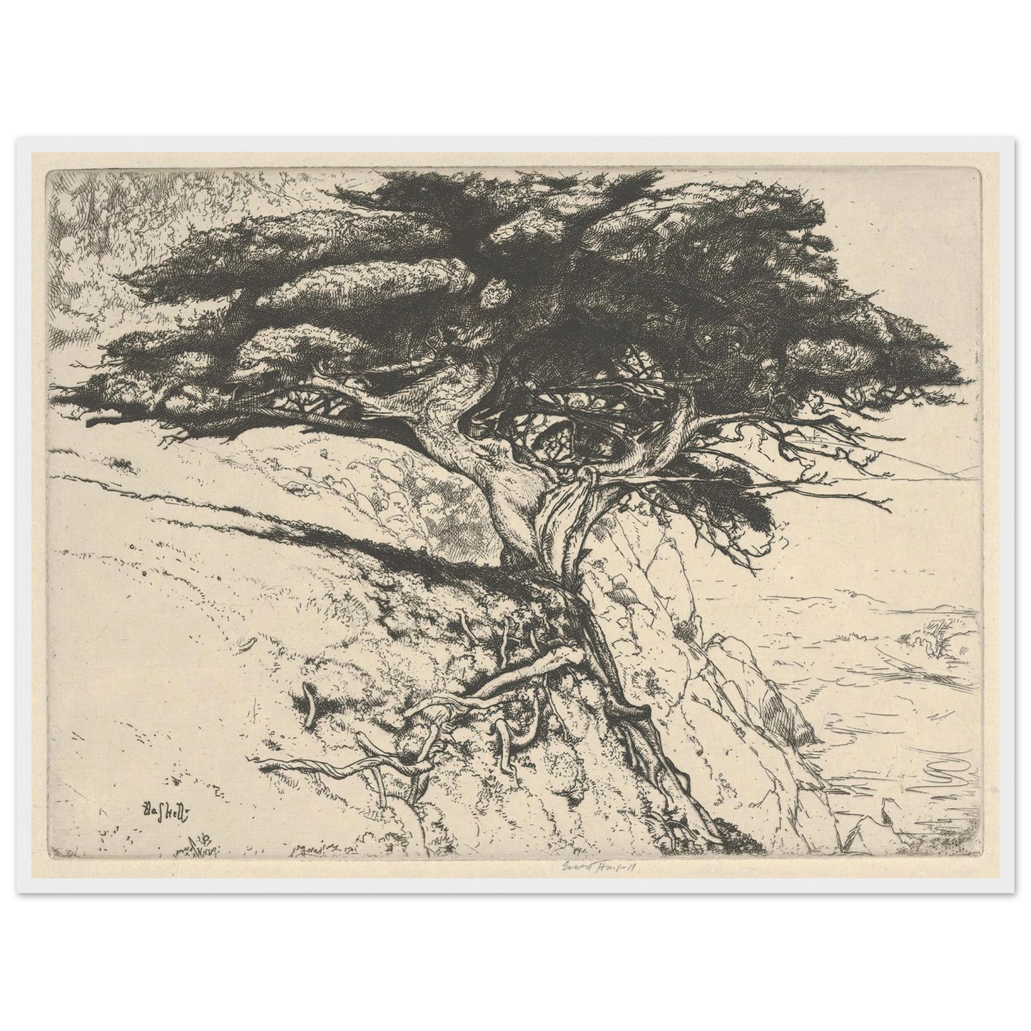 Fan Tree (1920) Art Print | Ernest Haskell - Framed Poster - 30x40 cm / 12x16″ - Black frame