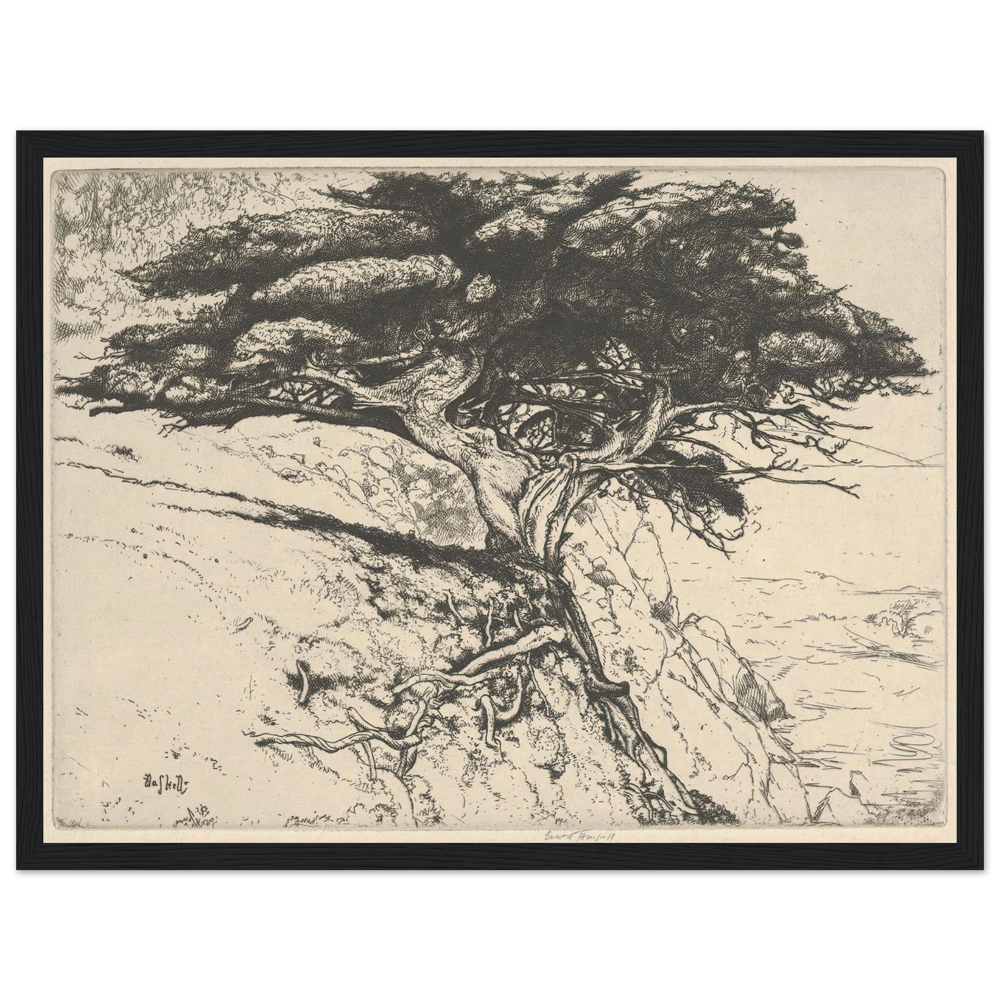 Fan Tree (1920) Art Print | Ernest Haskell - Framed Poster - 30x40 cm / 12x16″ - Black frame