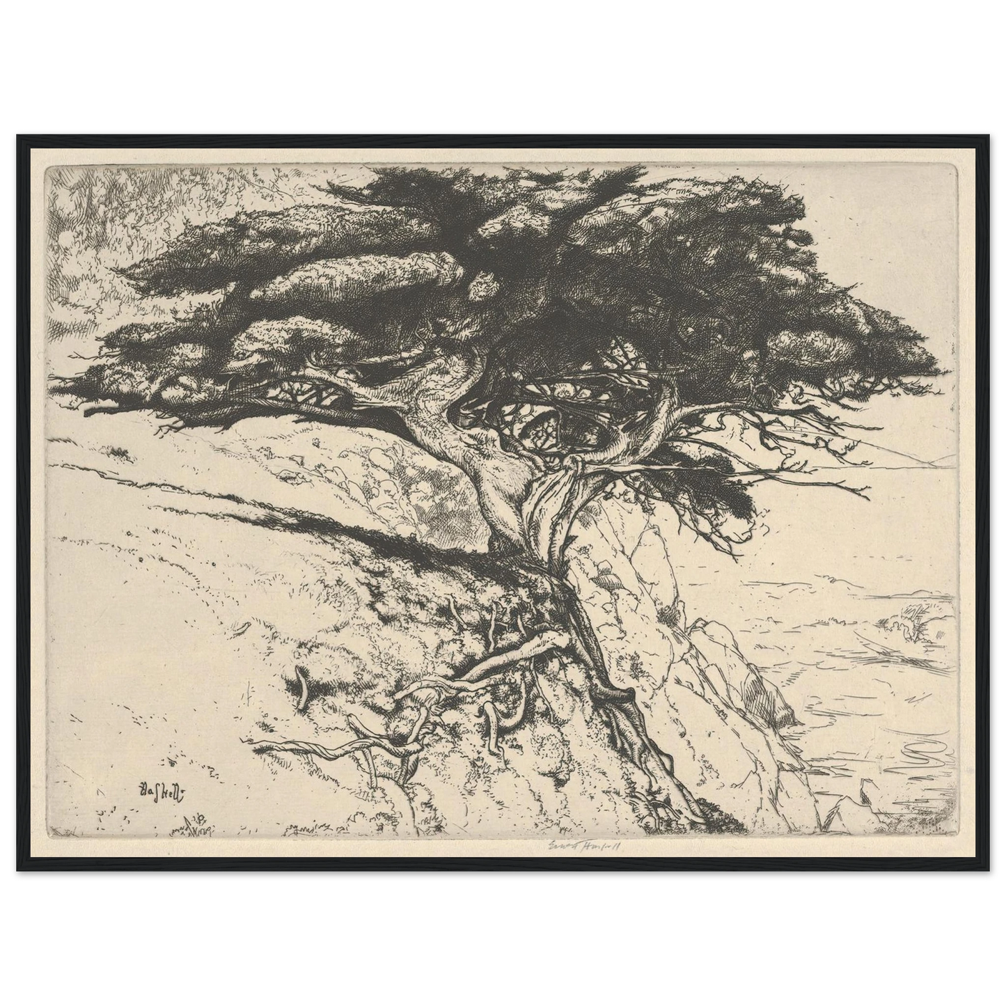 Fan Tree (1920) Art Print | Ernest Haskell - Framed Poster - 30x40 cm / 12x16″ - Black frame