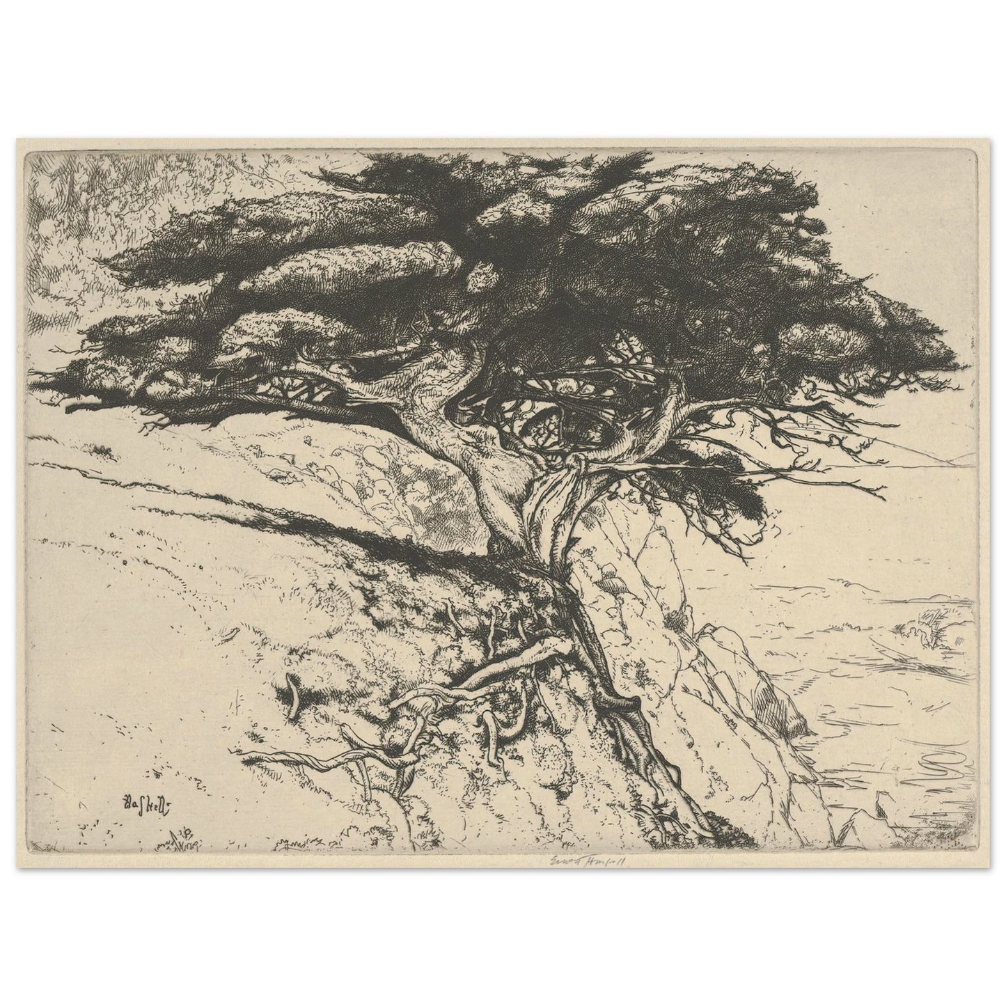 Fan Tree (1920) Art Print | Ernest Haskell - Framed Poster - 30x40 cm / 12x16″ - Black frame