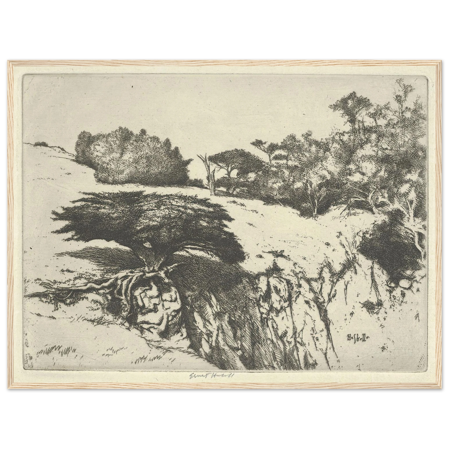 Fan Tree and Her Canyon (1915-1925) Art Print | Ernest Haskell - Framed Poster - 30x40 cm / 12x16″ - Black frame