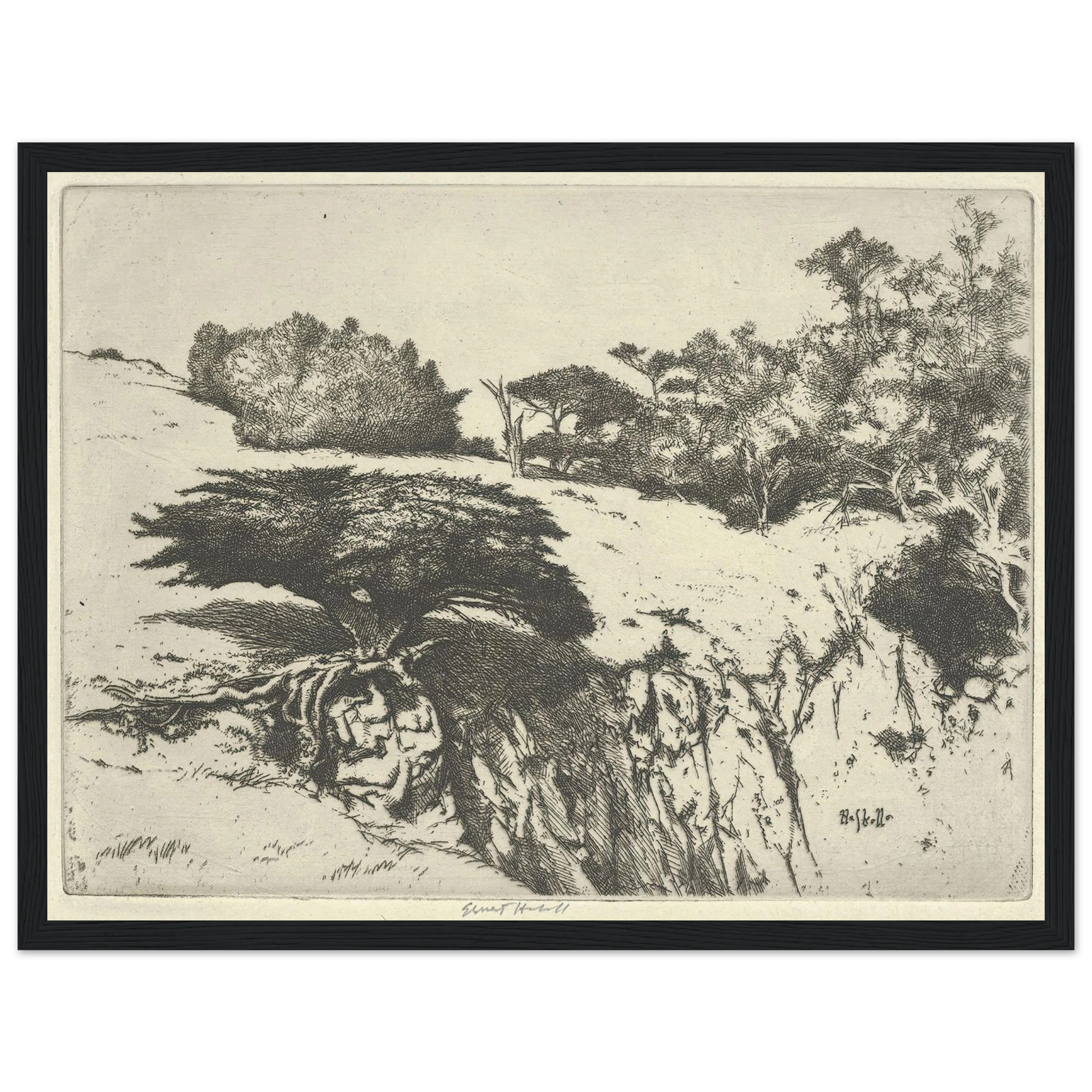 Fan Tree and Her Canyon (1915-1925) Art Print | Ernest Haskell - Framed Poster - 30x40 cm / 12x16″ - Black frame