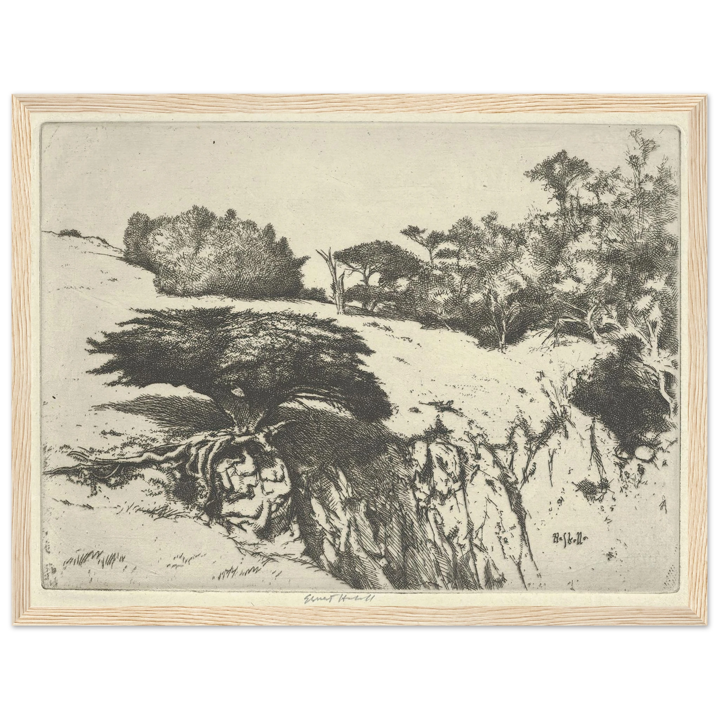 Fan Tree and Her Canyon (1915-1925) Art Print | Ernest Haskell - Framed Poster - 30x40 cm / 12x16″ - Black frame