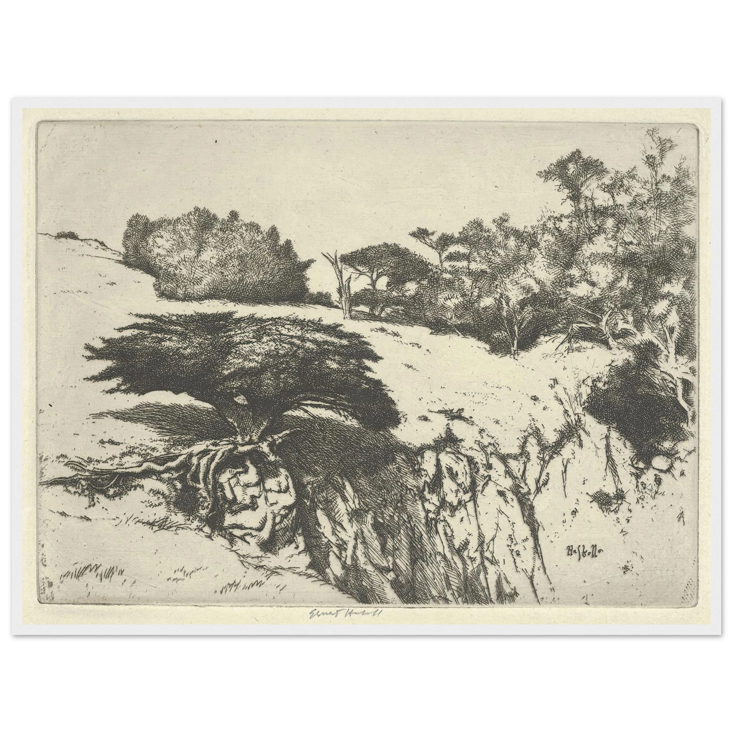 Fan Tree and Her Canyon (1915-1925) Art Print | Ernest Haskell - Framed Poster - 30x40 cm / 12x16″ - Black frame