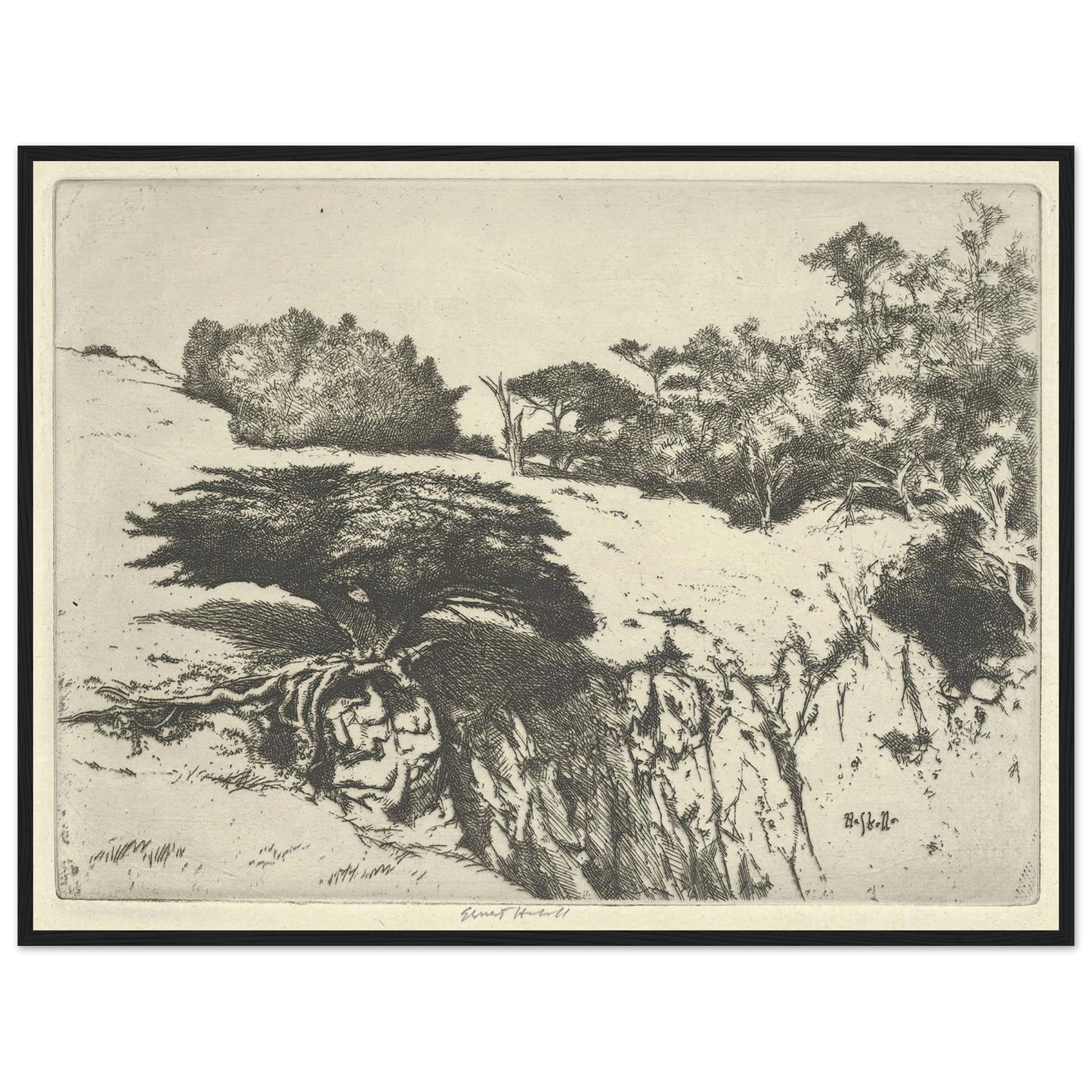 Fan Tree and Her Canyon (1915-1925) Art Print | Ernest Haskell - Framed Poster - 30x40 cm / 12x16″ - Black frame