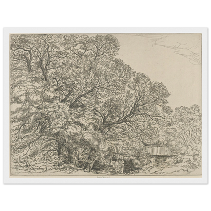 Alna Willows (1924) Art Print | Ernest Haskell-Quipham Collections