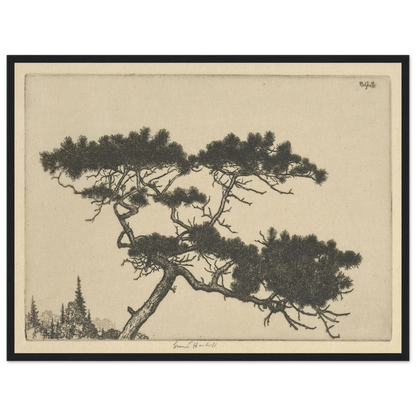 Crippled Pine (between 1900 and 1925) Art Print | Ernest Haskell-Quipham Collections