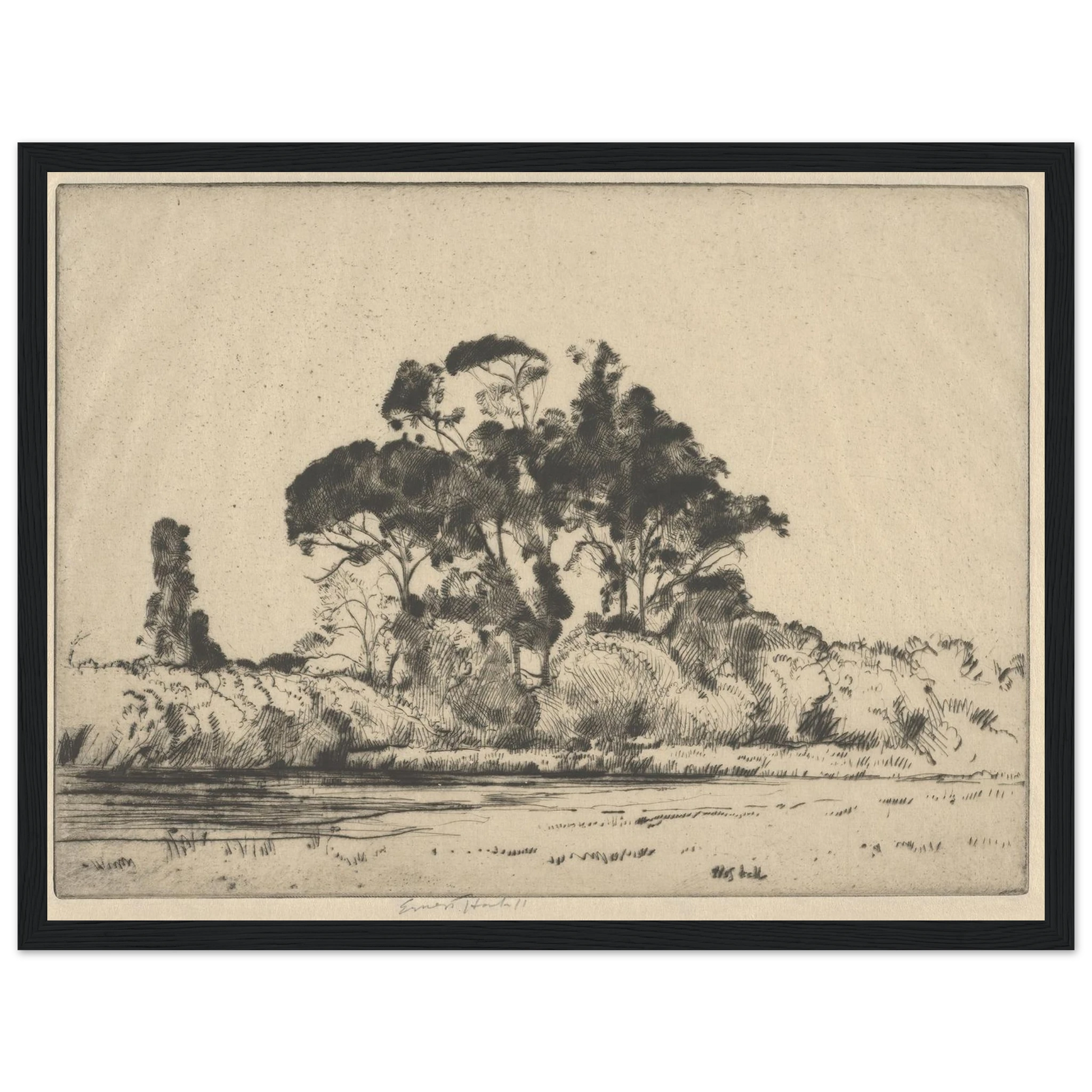 Feathery Trees (1900-1925) Art Print | Ernest Haskell - Framed Poster - 30x40 cm / 12x16″ - Black frame