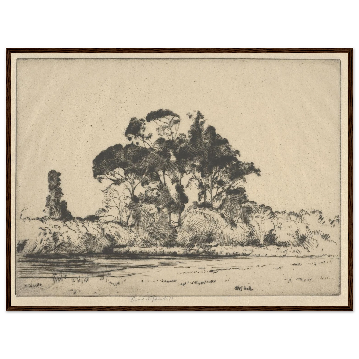 Feathery Trees (1900-1925) Art Print | Ernest Haskell - Framed Poster - 30x40 cm / 12x16″ - Black frame