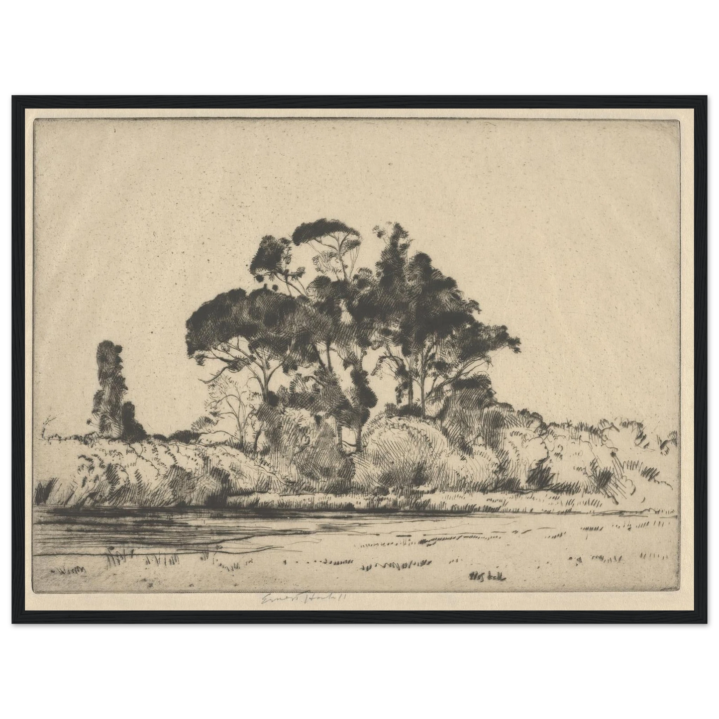 Feathery Trees (1900-1925) Art Print | Ernest Haskell - Framed Poster - 30x40 cm / 12x16″ - Black frame