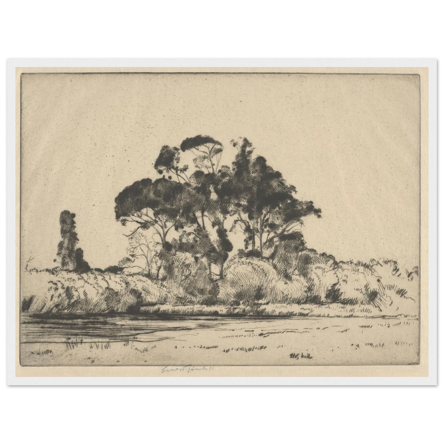 Feathery Trees (1900-1925) Art Print | Ernest Haskell - Framed Poster - 30x40 cm / 12x16″ - Black frame