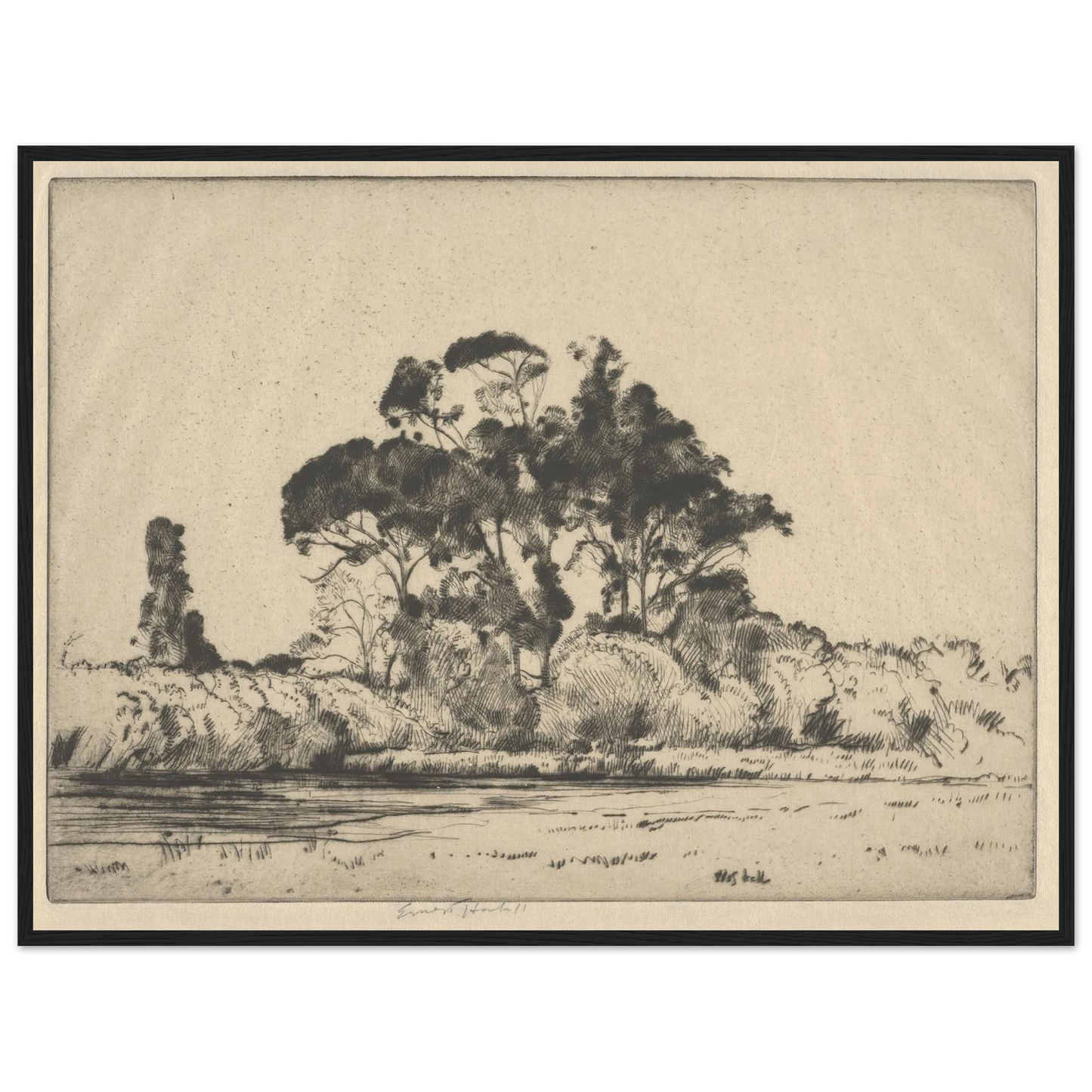 Feathery Trees (1900-1925) Art Print | Ernest Haskell - Framed Poster - 30x40 cm / 12x16″ - Black frame