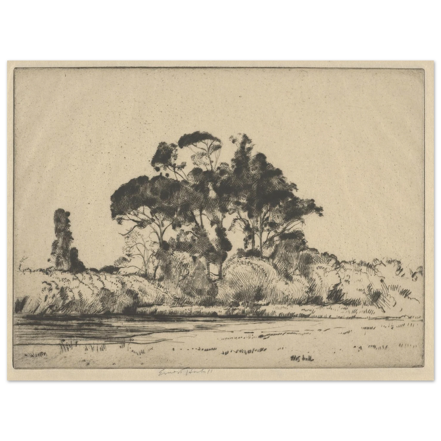 Feathery Trees (1900-1925) Art Print | Ernest Haskell - Framed Poster - 30x40 cm / 12x16″ - Black frame