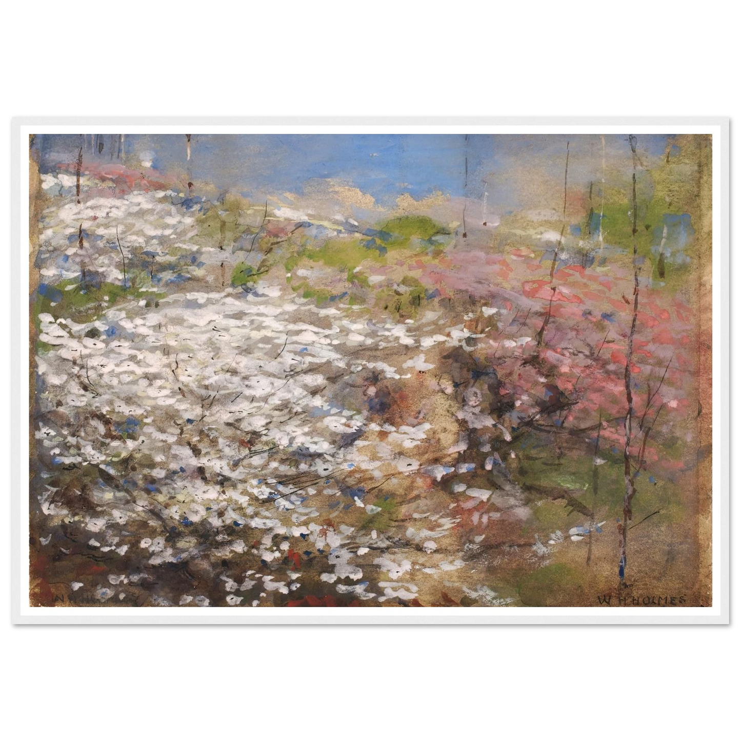 Field Of Blossoms (1927) Art Print | William Henry Holmes - Framed Poster - 30x40 cm / 12x16″ - Black frame