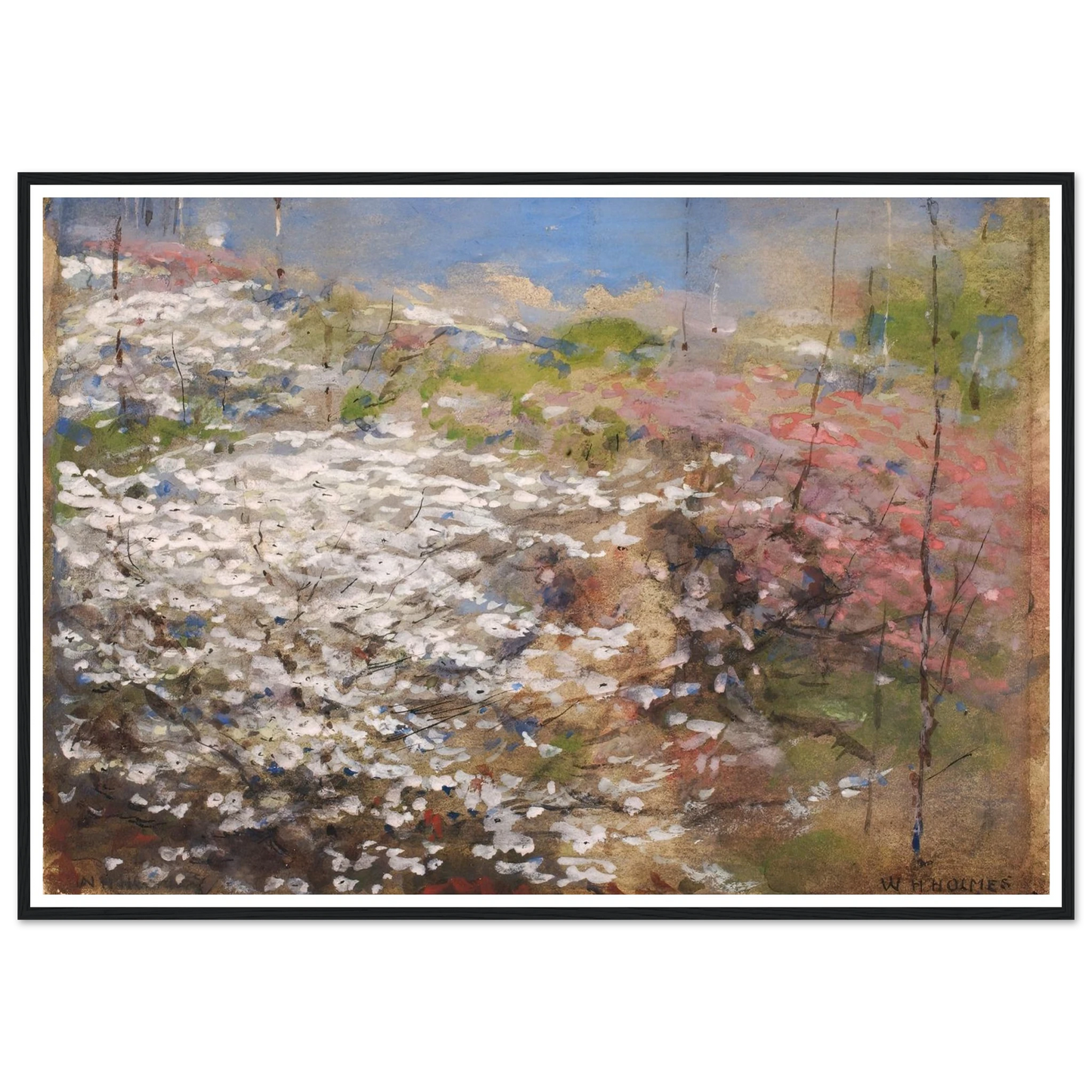 Field Of Blossoms (1927) Art Print | William Henry Holmes - Framed Poster - 30x40 cm / 12x16″ - Black frame