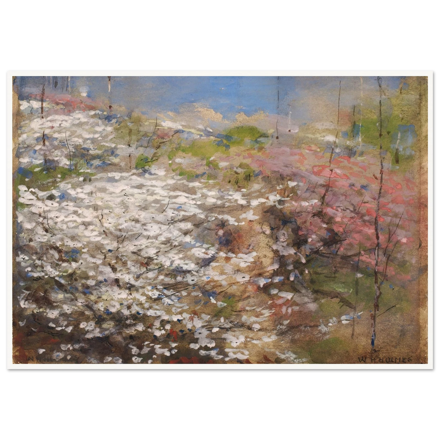 Field Of Blossoms (1927) Art Print | William Henry Holmes - Framed Poster - 30x40 cm / 12x16″ - Black frame
