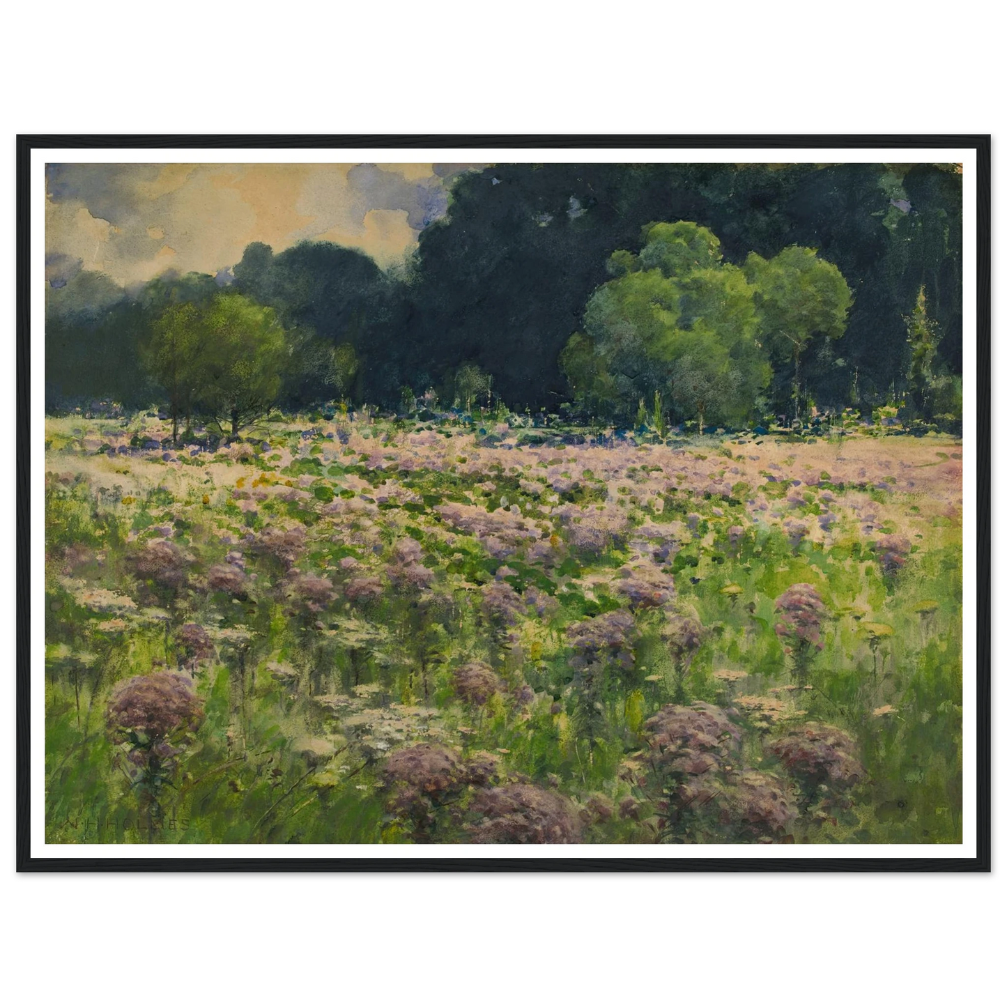 Field Of Joe Pie Weeds (Pride Of The Meadow) Art Print | William Henry Holmes - Framed Poster - 30x40 cm / 12x16″ - Black frame