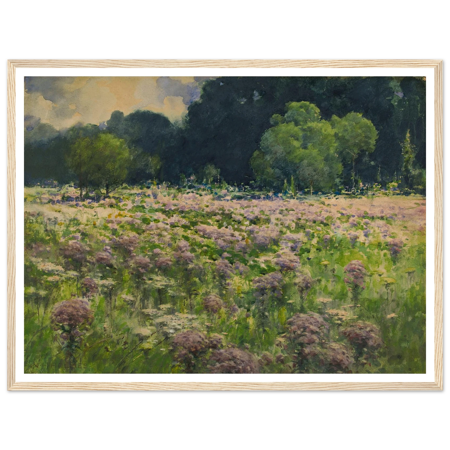 Field Of Joe Pie Weeds (Pride Of The Meadow) Art Print | William Henry Holmes - Framed Poster - 30x40 cm / 12x16″ - Black frame