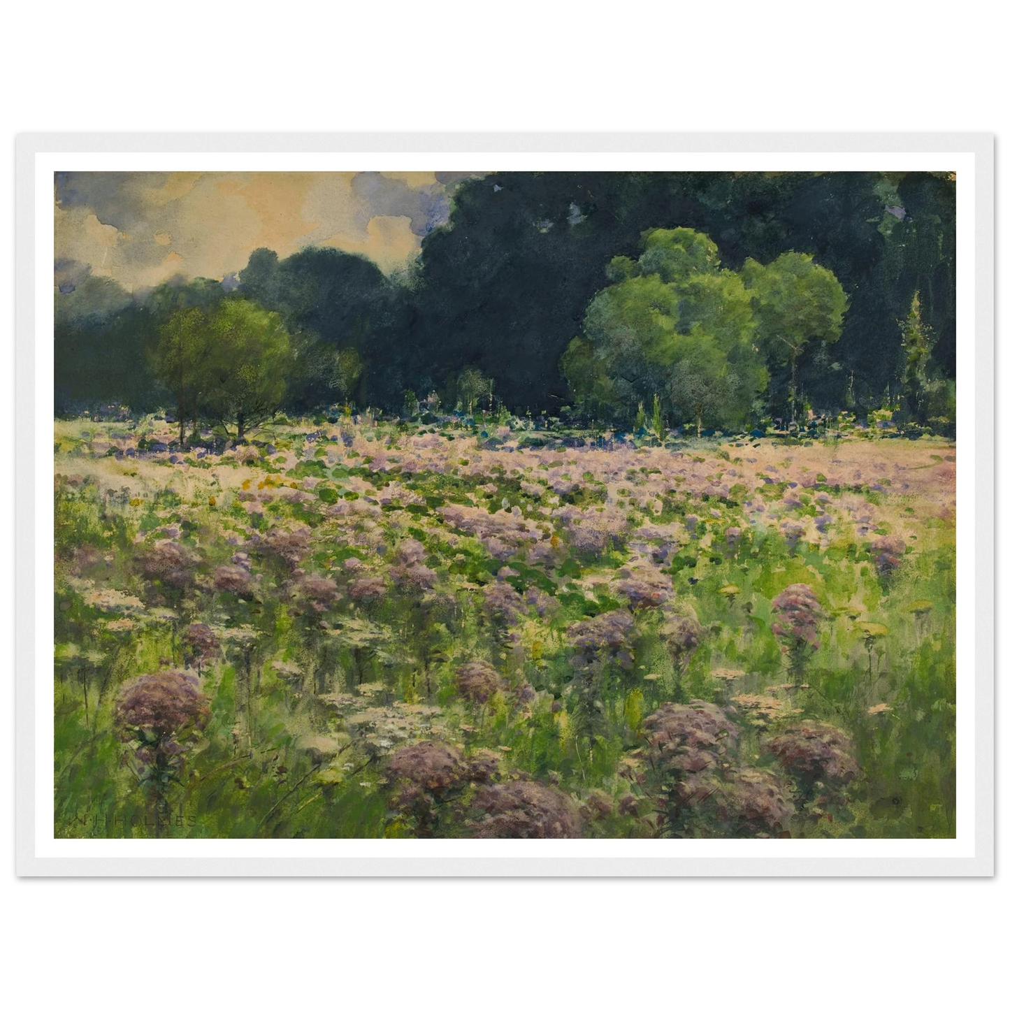 Field Of Joe Pie Weeds (Pride Of The Meadow) Art Print | William Henry Holmes - Framed Poster - 30x40 cm / 12x16″ - Black frame