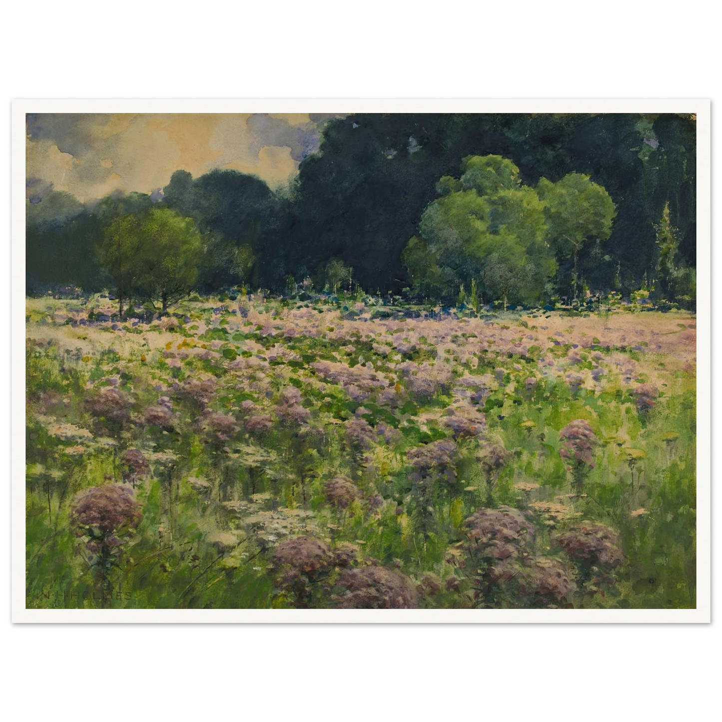 Field Of Joe Pie Weeds (Pride Of The Meadow) Art Print | William Henry Holmes - Framed Poster - 30x40 cm / 12x16″ - Black frame
