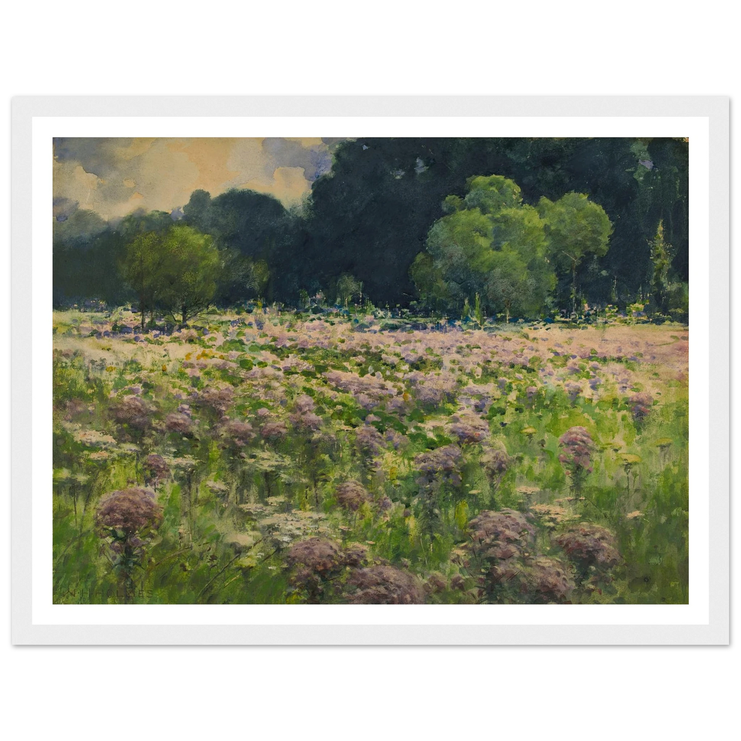 Field Of Joe Pie Weeds (Pride Of The Meadow) Art Print | William Henry Holmes - Framed Poster - 30x40 cm / 12x16″ - Black frame