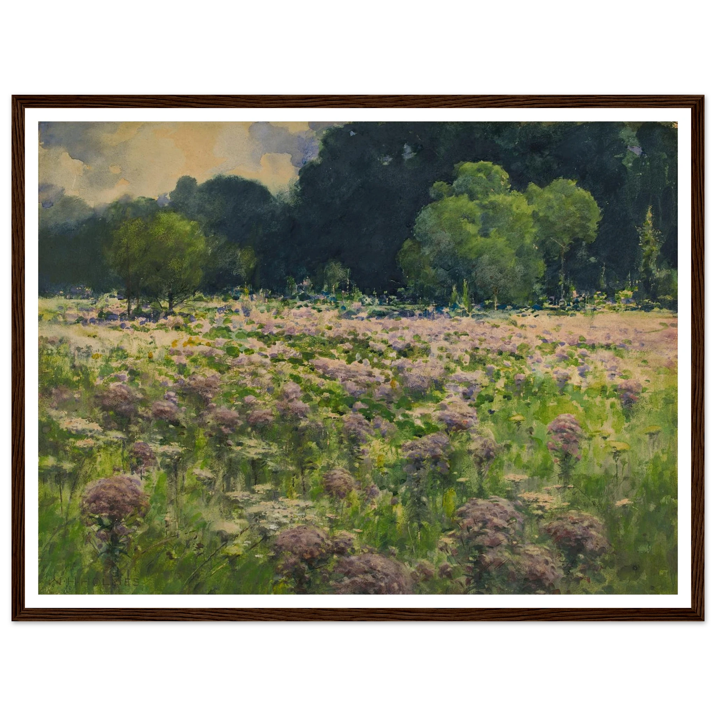 Field Of Joe Pie Weeds (Pride Of The Meadow) Art Print | William Henry Holmes - Framed Poster - 30x40 cm / 12x16″ - Black frame