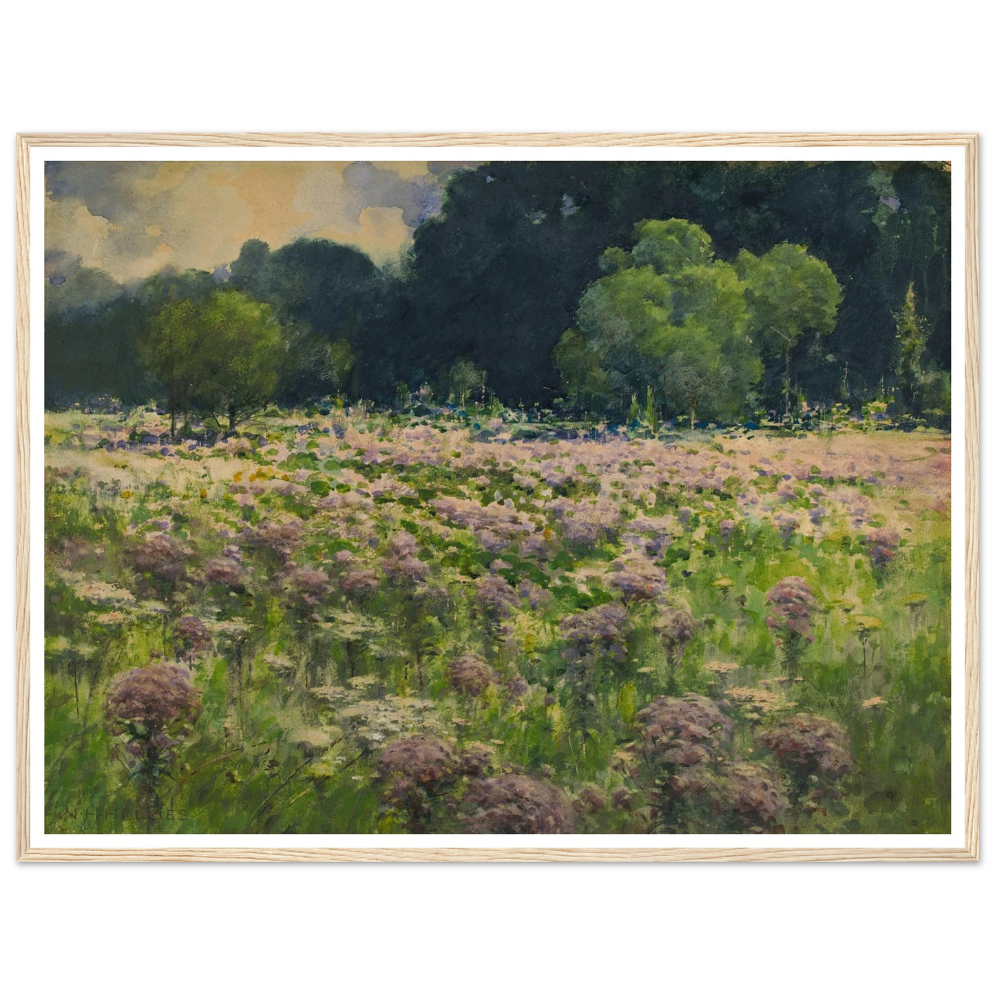 Field Of Joe Pie Weeds (Pride Of The Meadow) Art Print | William Henry Holmes - Framed Poster - 30x40 cm / 12x16″ - Black frame
