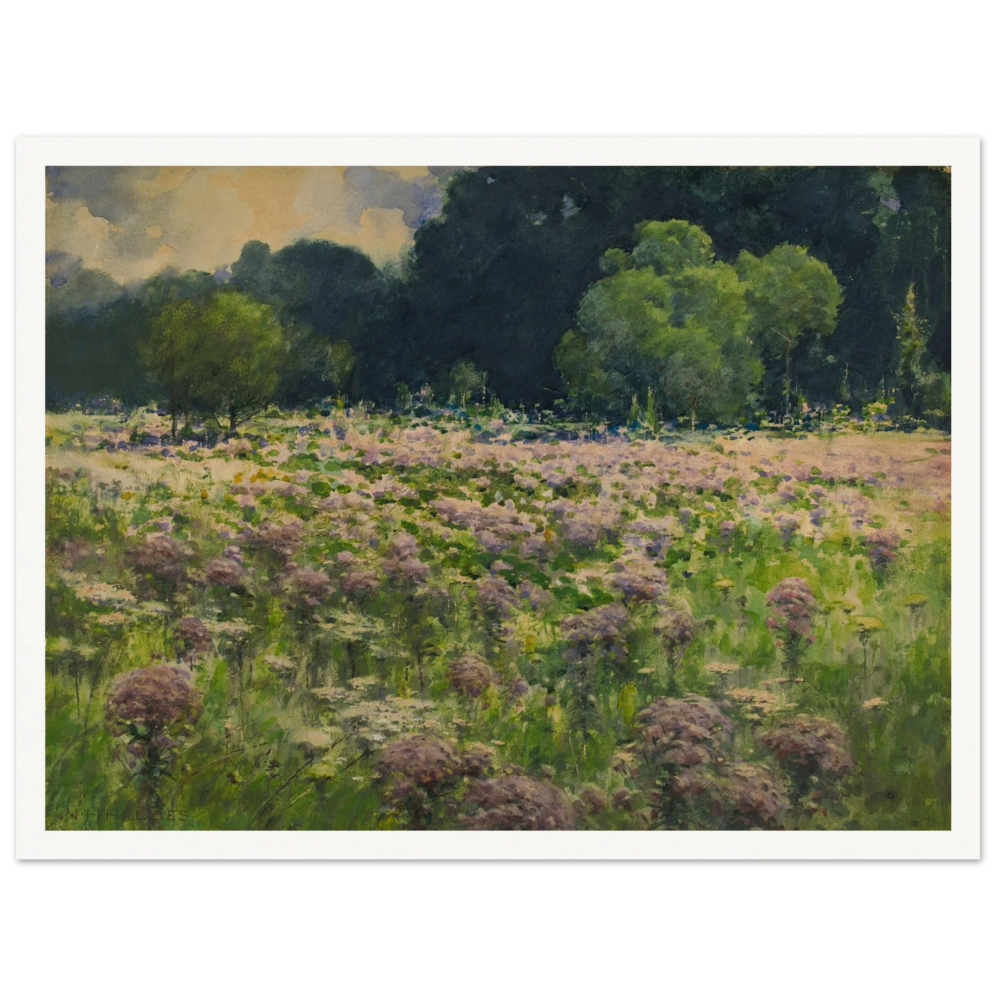 Field Of Joe Pie Weeds (Pride Of The Meadow) Art Print | William Henry Holmes - Framed Poster - 30x40 cm / 12x16″ - Black frame